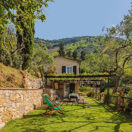 Villa Locazione Turistica Il Glicine Montemagno  Esterno foto