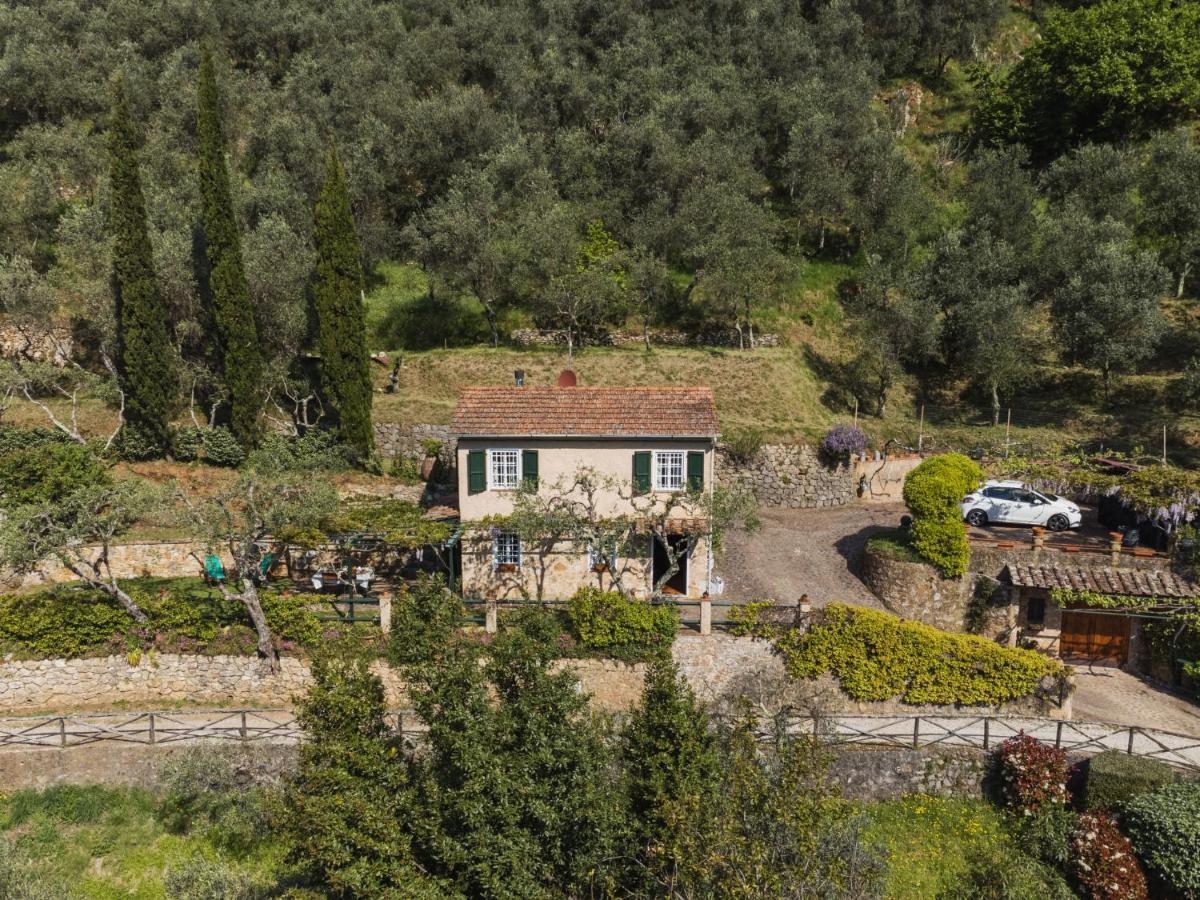 Villa Locazione Turistica Il Glicine Montemagno  Esterno foto
